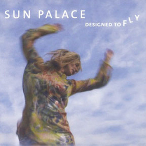 Designed to Fly cover